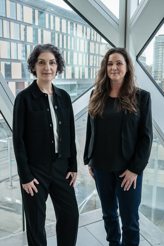 Consultant advising on app development and system architecture