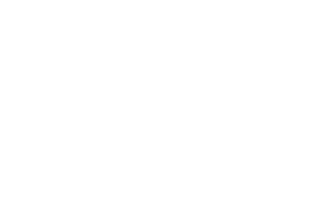 NIM Logo